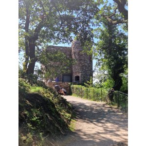 Rheinsteig 20.08.2023