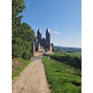 Rheinsteig 20.08.2023