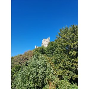 Vereinsausflug Koenigswinter