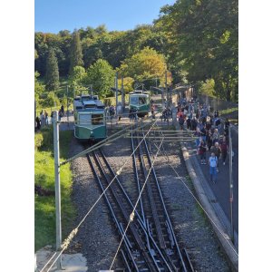 Vereinsausflug Koenigswinter