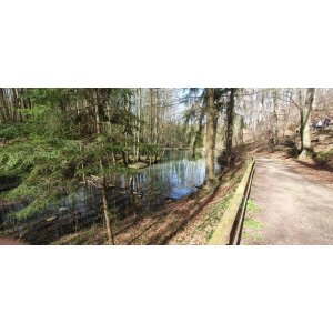 11.04.23 Ober-Beerbach - 'Märchenteiche' - Seeheim