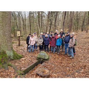 04.02.2024 Basilika Rundweg Michelstadt